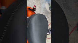 IMG 6342