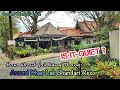 Around bhandari resort  how about soi nang thong is it quietlets check it out khao lak thailand