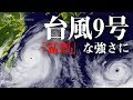 最新台風情報　台風9号は「猛烈」な強さに（2019.8.8 22時更新）