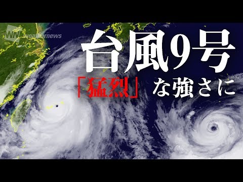 最新台風情報 台風9号は「猛烈」な強さに（2019.8.8 22時更新）