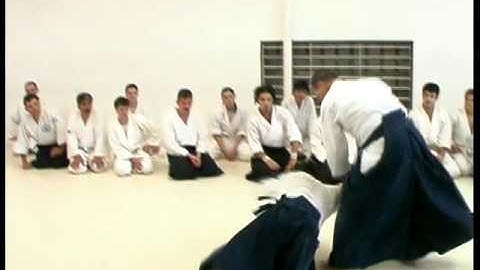 Aikido Peter Bernath Shihan - 2004 Argentina, Buenos Aires - Aihanmi Katatetori Ikkyo #1