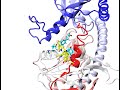 Bmdrc  research fields  drug discovery  ligand binding 2