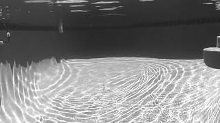 TackleTour Video - Checking out the Underwater Swimming Action of the Megabass Limber Lamber