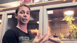 Famous Close Call Blood Python Bite to the Face!  SnakeBytesTV   AnimalBytesTV Wealth