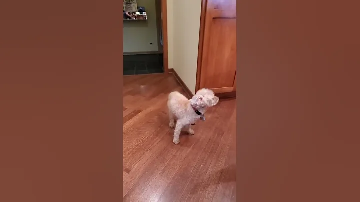 Cory Turns