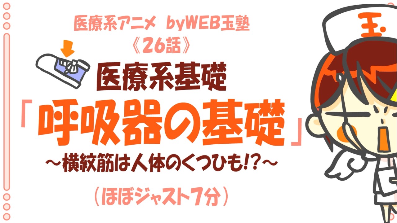 解剖生理学「呼吸器の基礎」※確認ゲーム付き♪～横紋筋はくつひも！？～
