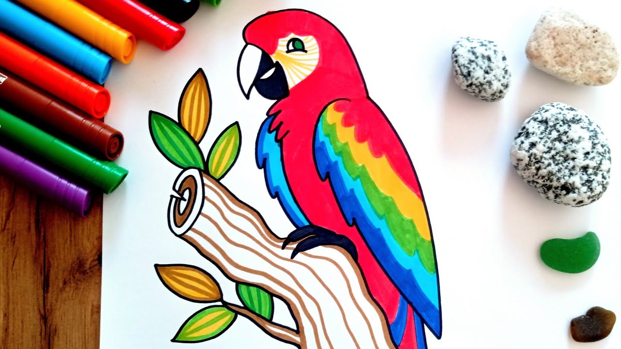 HOW TO DRAW a Parrot - Scarlet Macaw - easy drawing for kids ...