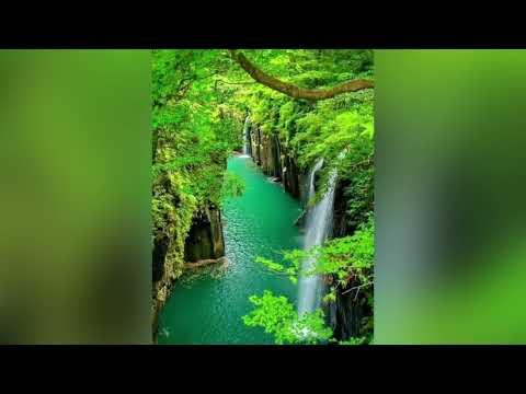 CANTAR DO PRESENTE DA NATUREZA - MARCÔS GIILIBERTI