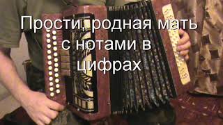 Прости родная мать разбор с цифрами