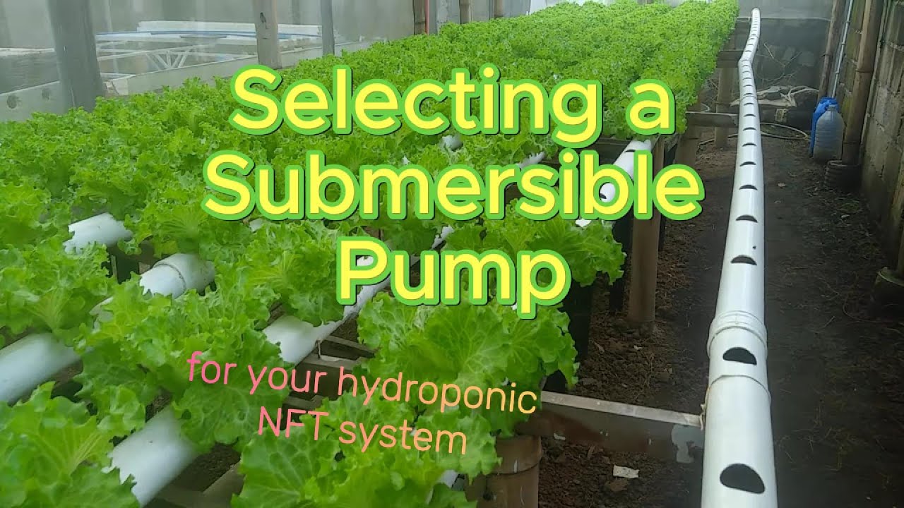 Selecting a Submersible Pump for Your Hydroponic System