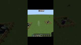 Never Ending Fight #shorts #minecraftshorts Net Worth