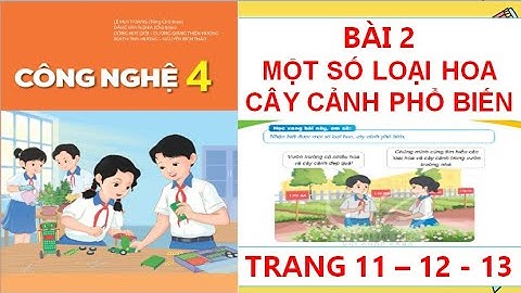 CÔNG NGHỆ 4: BÀI 2: MỘT SỐ LOẠI HOA CÂY CẢNH PHỔ BIẾN  TRANG 11 12 - 13  SÁCH KẾT NỐI HAY NHẤT