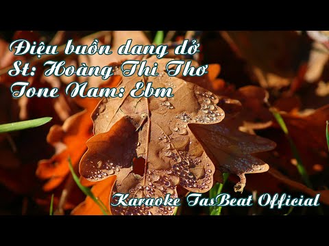 Video Karaoke Điệu Buồn Dang Dở Tone Nam | TAS BEAT - youtube