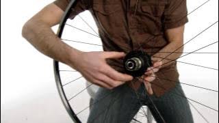 CycleOps PowerTap Pro Alloy Training Wheelset Review - from Performance Bicycle