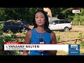 Falling tree damages 6 vehicles, traps 2 people at Lake Sammamish park