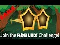 Roblox challenge  fails