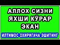 Alloh sizni yaxshi ko'rar ekan | Аллох сизни яхши кўрар экан