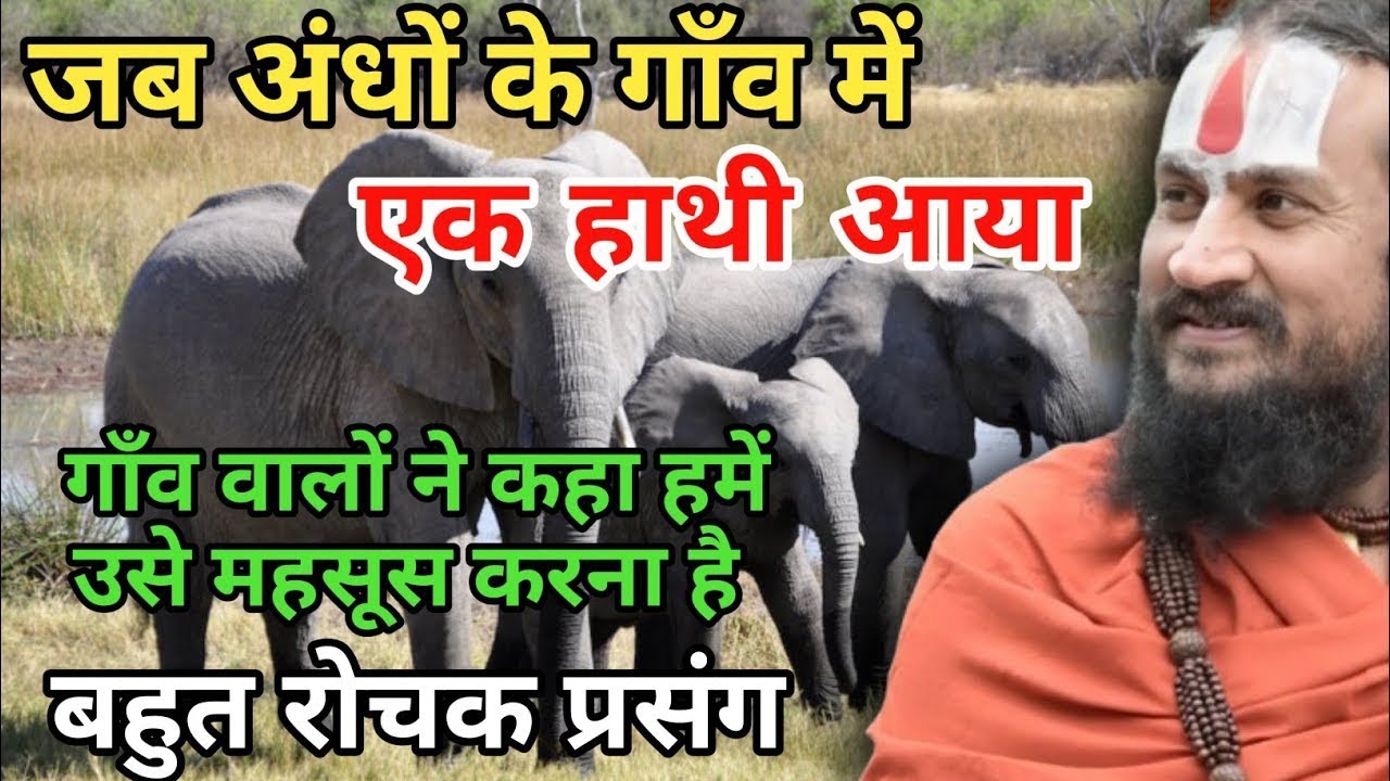 एक गांव में सब अंधे थे उस,गांव में आए हाथी को गांव वालों ने क्या क्या कह दिया | vipin Bihari Das ji 