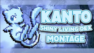 The Kanto Dex is Complete! 151 Kanto Shiny Living Dex Montage!