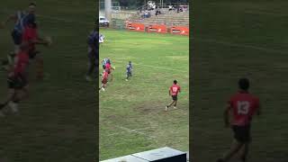 multisure crusaders vs progress rfc 2026