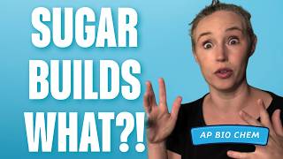 How Does Carbohydrate Structure Determine Function | AP Biology