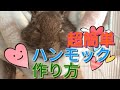 【デグー】簡単なハンモックの作り方！【小動物】【ハンモック】