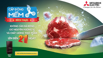 KHÁM PHÁ CÔNG NGHỆ CẤP ĐÔNG MỀM ĐÍCH THỰC TỪ MITSUBISHI ELECTRIC