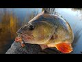 Jigging Worms For River / Creek CHUNKS! (Unexpected catch!)