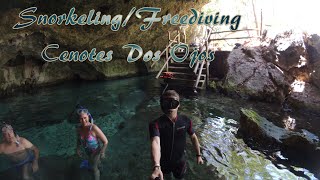 Cenotes Dos Ojos Snorkel/Freedive (Xiaomi Yi Underwater) @KyleCaughill