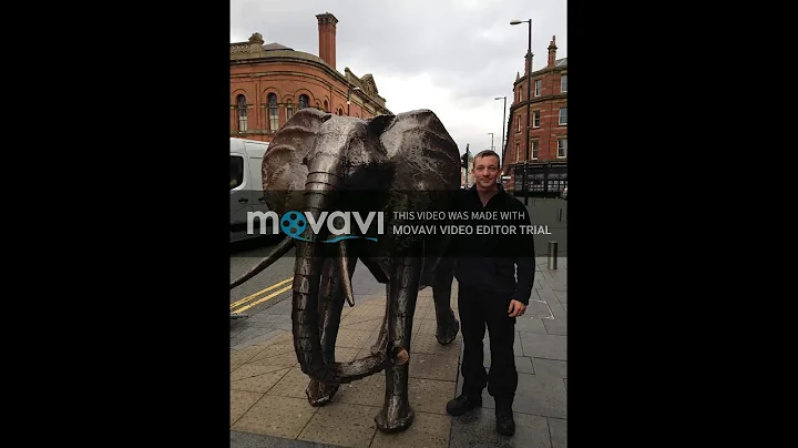 danny middleton removals