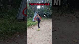 Feint+Reverse Kick #mma #muaythai #shortsviral #shortsfeed #tutorials #viralshort
