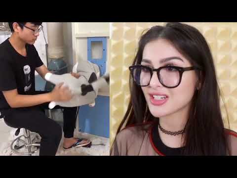 Try Not To Say WOW Challenge IMPOSSIBLE 