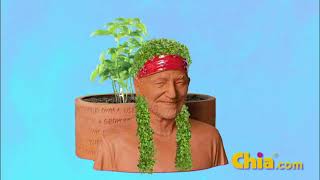 Willie Nelson Herb Garden