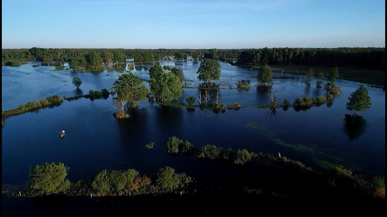 Tõramaa wooded meadow. Fifth Season of Soomaa.