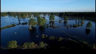 Tõramaa Wooded Meadow. Fifth Season Of Soomaa.