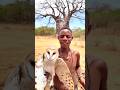 Strange rules in tribal marriages #shortvideo