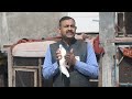 It is important to know these things before rearing pigeons pigeon care tips  dr nagendra yadav