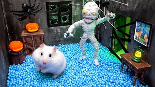 🎃 Hamster HALLOWEEN Magic Maze 🐹 HamHam vs Dangerous Zoombie