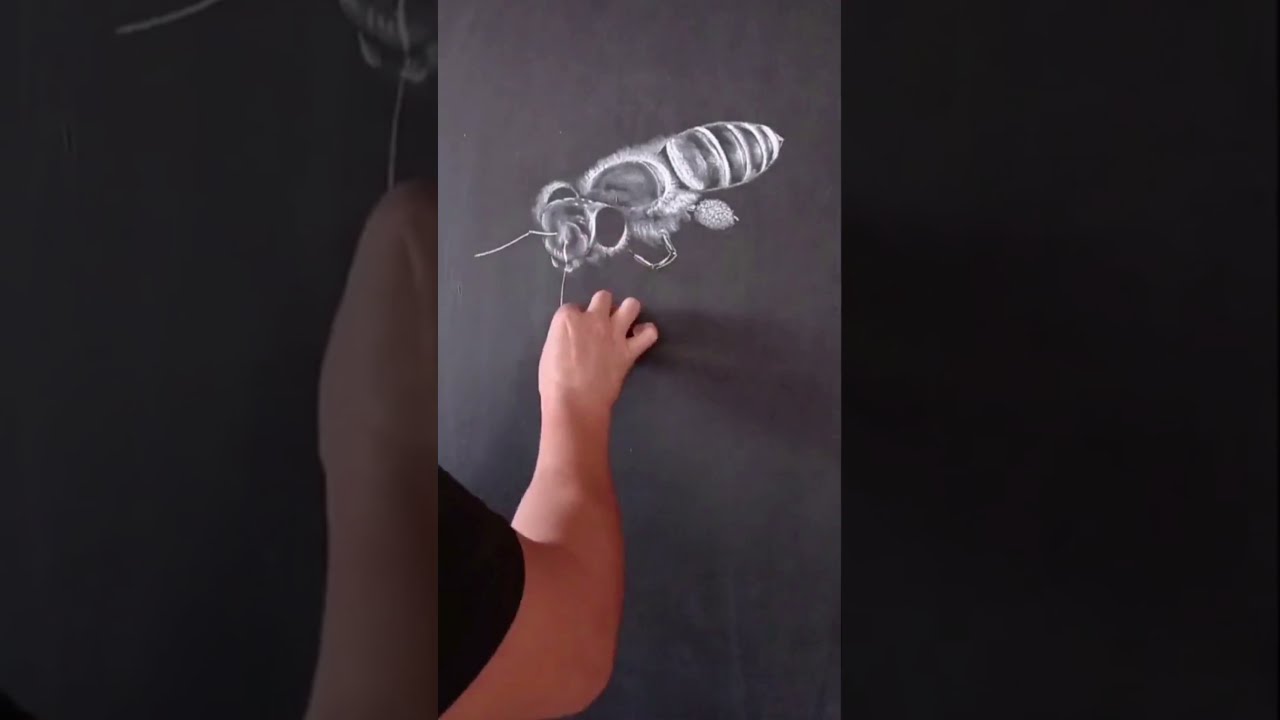 Chalk Painting Bee Flying 