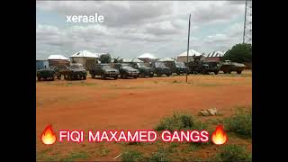 SURRE NIMO