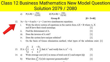 Business Mathematics Class 12 New Model Question Solution | NEB Grade 12 New Model Question Paper