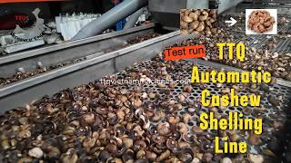 Cashew Processing Machine Test Run – Full Automatic Shelling Line