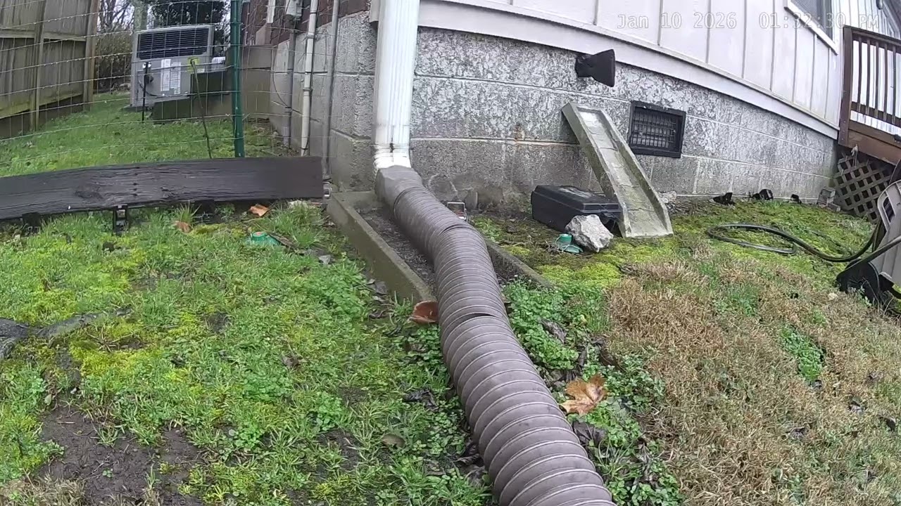 Squirrel trying to open the rat bait box 1/10/2026