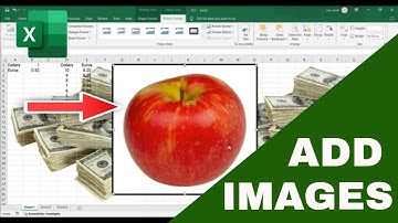 How to Add an Image to Your Excel Spreadsheet (Resize & Add Borders)