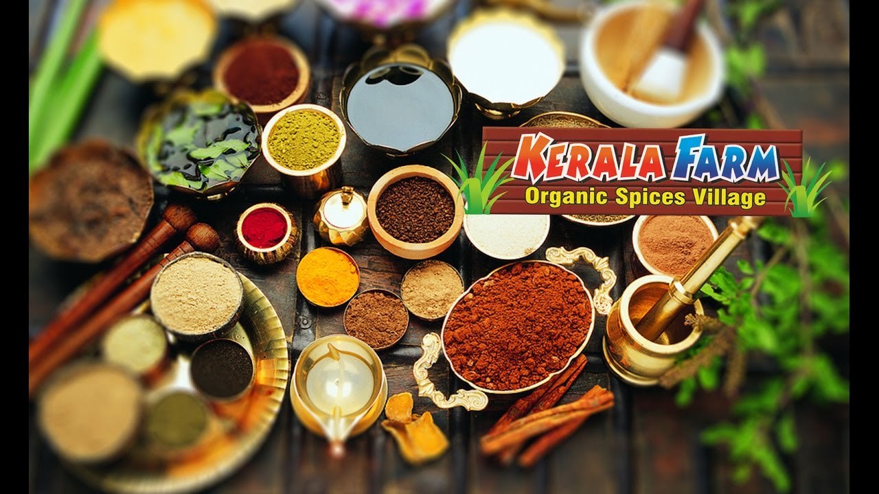 Kerala Farm YouTube