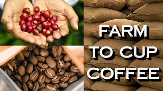 Farm To Cup Coffee | Riverview Coffee Roasters