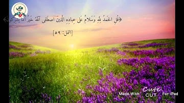 تلاوة رائعة مؤثرة : سورة النمل ، توفيق الصايغ