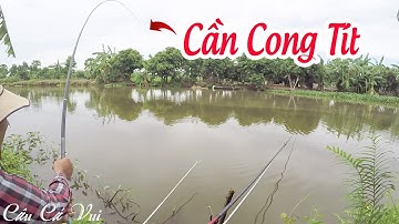 Câu Cá Chép Sông - Điểm Câu Cá Mới Lên Hàng (Carp Fishing In VietNam)