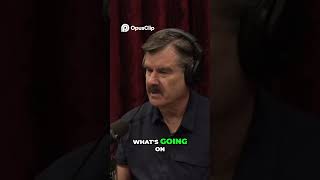 Alien Abduction They Took Me AND the Elk! 🤣 #trending #jre #viral #podcast #jreclips #shorts