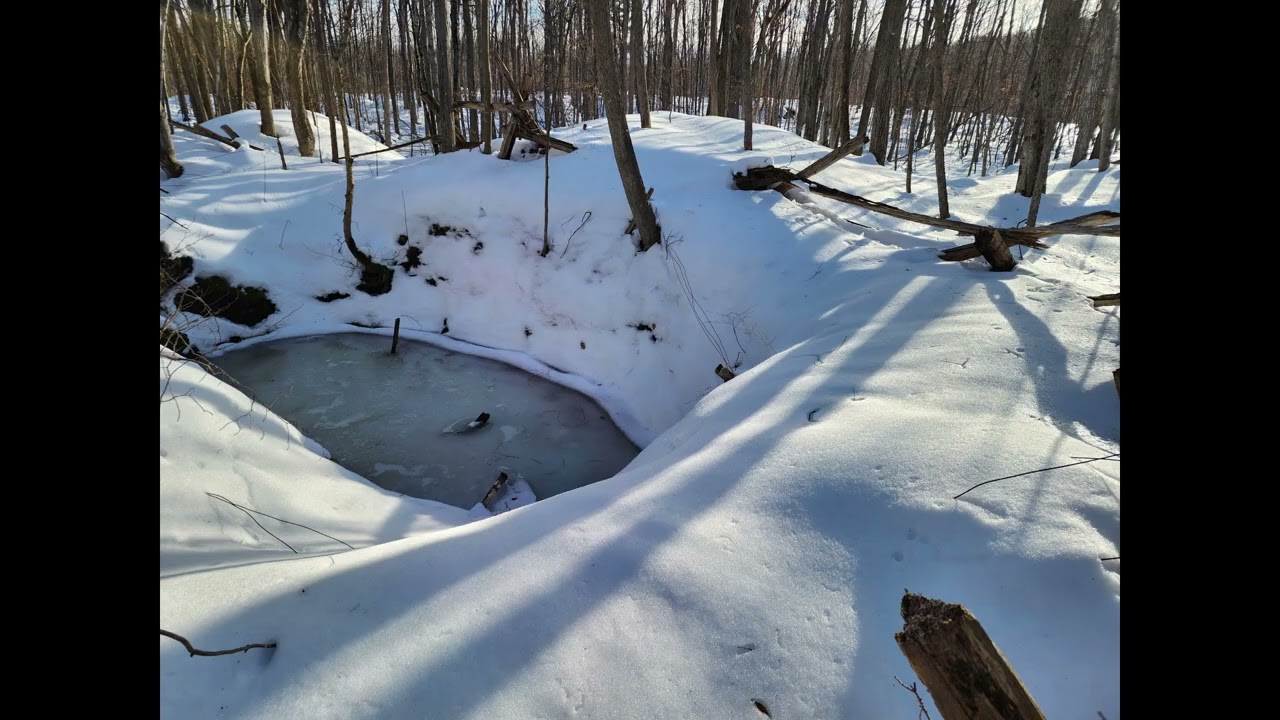 Tetsmine Lake Loop Trail [Old Mines]